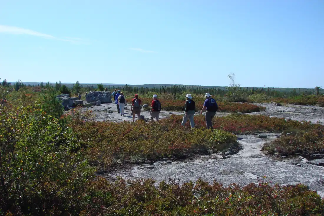 A party of eight hikers in sun hats and daypacks crossing an open granite barrens plateau in September, low blueberry and spruce around them and a treed horizon beyond.