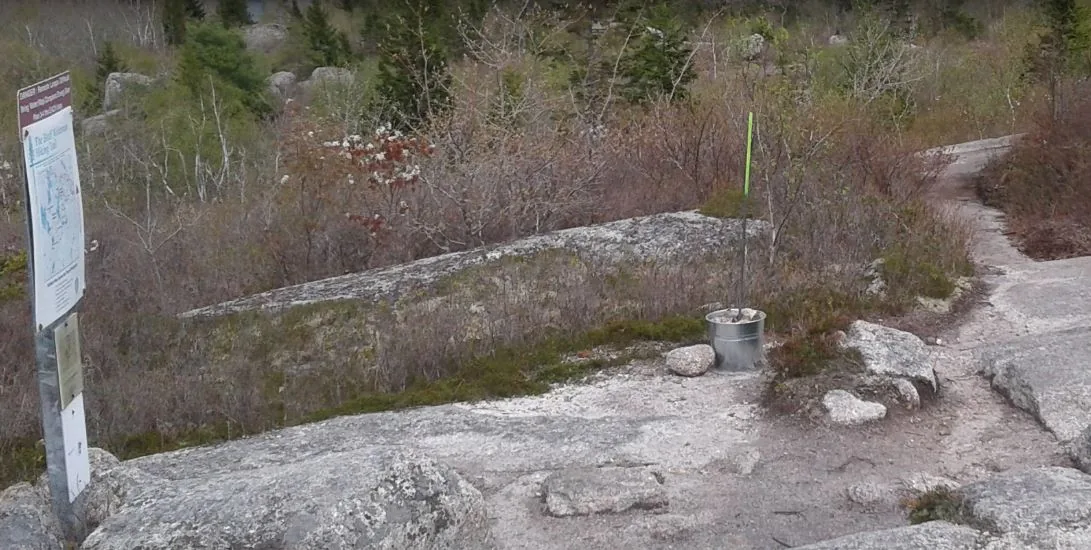Open rock at a trail junction on The Bluff Trail, with an information signboard on the left and a painted rebar way marker standing in a metal bucket beside the path.